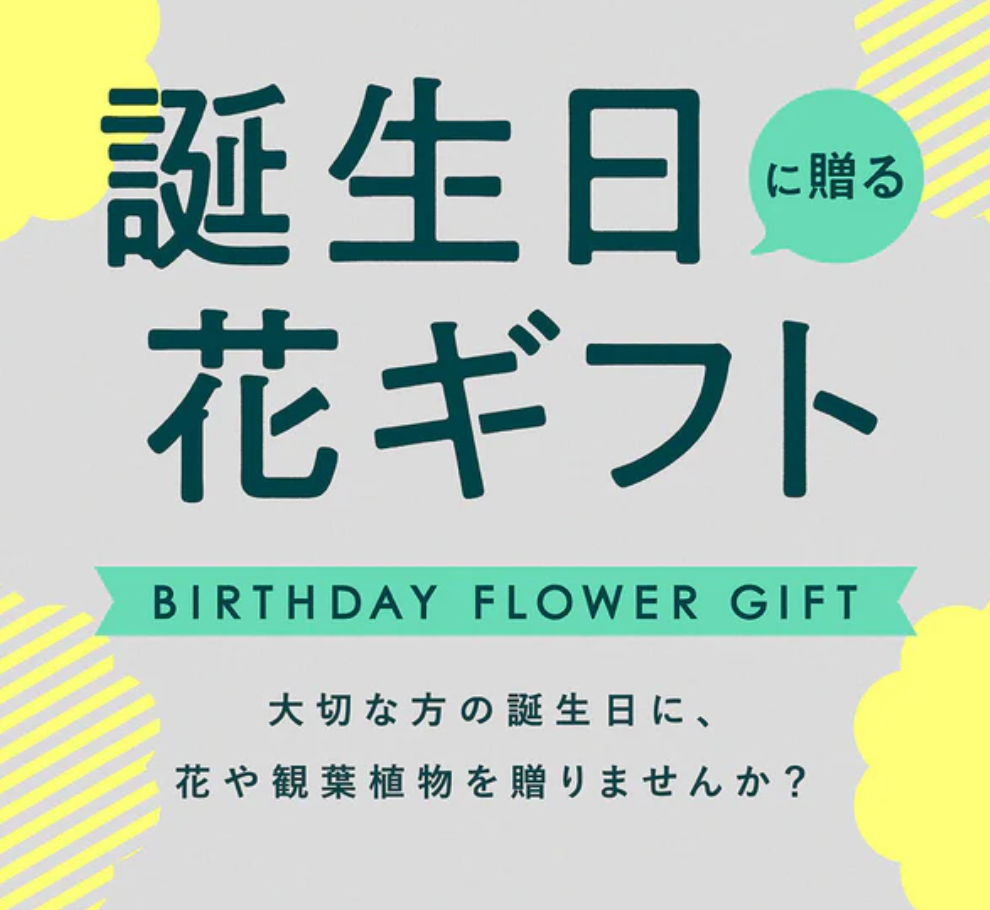 AND-PLANTS-アンドプランツ-観葉植物-お花の通販-09-03-2025_12_39_PM