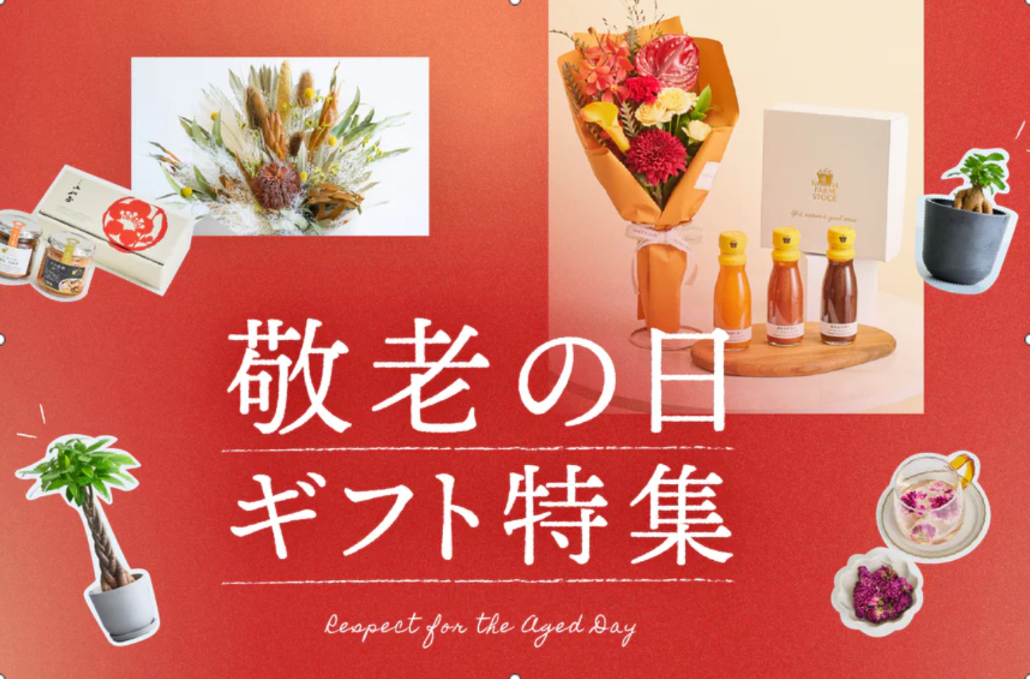 AND-PLANTS-アンドプランツ-観葉植物-お花の通販-09-03-2025_12_40_PM